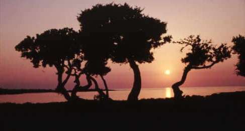 Sonnenuntergang am Strand von Elafonisi auf Kreta